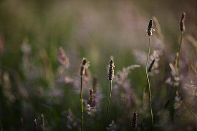 《忍龙合集》首次打折 光荣开启TGS特别优惠促销